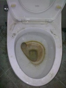 dirty toilet